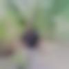 Alibag Male Photo - Ratnesh