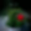 woman seeking men Fatehgarh near me photo - Nila