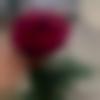 Assamese Dating Male - Jiva