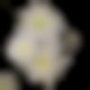 woman seeking men Champa near me photo - Rani