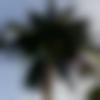 woman seeking men Udupi near me photo - Manasa