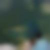 woman seeking men Solan near me photo - Watson