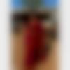 woman seeking men Balurghat near me photo - Susmita