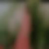 woman seeking men Shajapur near me photo - Maheen