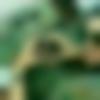woman seeking men Jowai near me photo - Dolly