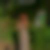 woman seeking men Akola near me photo - Ammy
