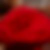woman seeking men Gumla near me photo - Mamata