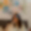 woman seeking men Gorakhpur near me photo - Sanya