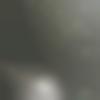 Male Photo - Abid