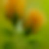 Kanauji member profile Photo, Email, Address and Contact Details - Kathir