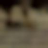 Barmer Male Photo - Khelash