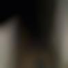 Male Photo - Ajreddy5