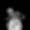 Sholinghur Male, photo - Agnish