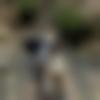 Goa Male Photo - Ranon