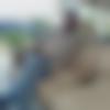 Rawatbhata Male Photo - Rohit