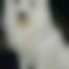 woman seeking men Alappuzha near me photo - Sachu