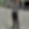 Single Male - Nikhil