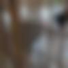 Single Female - Rohini