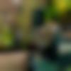 Koshali Dating Male - Shubh