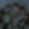 woman seeking men Mokama near me photo - Anjali431
