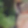 woman seeking men Chiplun near me photo - Angel