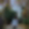 Single Male - Shivansh