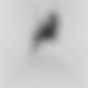 woman seeking men Makrana near me photo - Ruhi