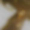 woman seeking men Bansi near me photo - Poonampanwar