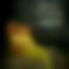 Single Male - Hari