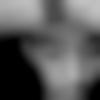 Digras Male Photo - V????