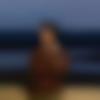Haryanvi member profile Photo, Email, Address and Contact Details - Tushar