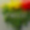 Female Photo - Golu