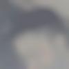 Male Photo - Naseeb