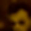 Male Photo - Gomez