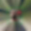 Jowai Male, photo - Hemend