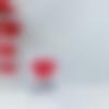Jamui Male, photo - Cocalola