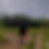 Male Photo - Navankur