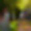 Male Photo - Venkatesh