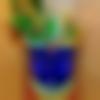 Raikot Male Photo - Dharmesh