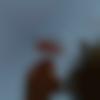 woman seeking men Barki Saria near me photo - Aditi