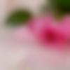 woman seeking men Barki Saria near me photo - Alisha