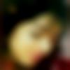woman seeking men Naraingarh near me photo - Natasha