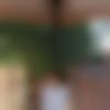 woman seeking men Nandurbar near me photo - Neha
