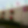 woman seeking men Fatehgarh near me photo - Bhisnu