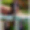 Single Male - Mahtab