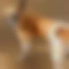 woman seeking men Mannargudi near me photo - Divya