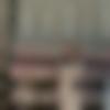 woman seeking men Mangaldoi near me photo - ?????????