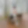 Matrimony Male Profile Bangalore