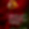 woman seeking men Surat near me photo - Sana