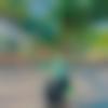 woman seeking men Bangaon near me photo - Anu
